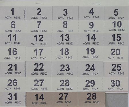 MacKillop Calendar